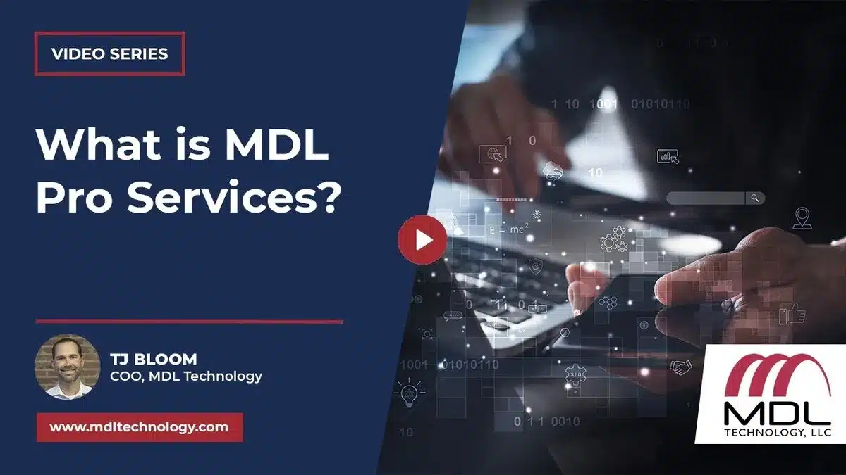 mdl pro services